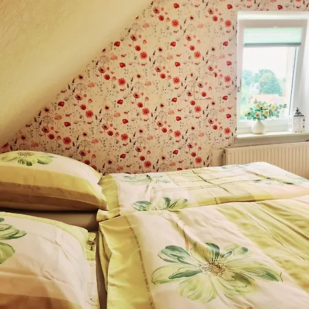 Dachstuebchen * Chemnitz