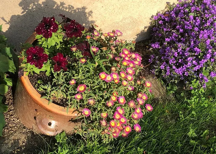 Dachstübchen Apartment *