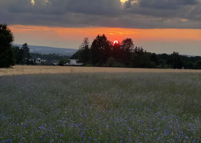 Apartment Dachstübchen *
